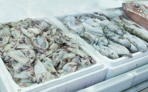 Transporte de Carga Congelada