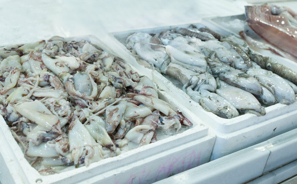 Transporte de Carga Congelada