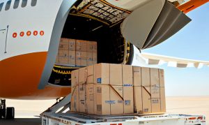 Beneficios Exclusivos que Tendrás con Nuestros Servicios